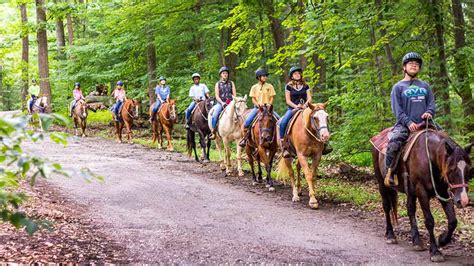 guided horseback trail riding near me.